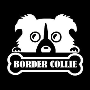 Border Collie with a Bone Sticker for your Car