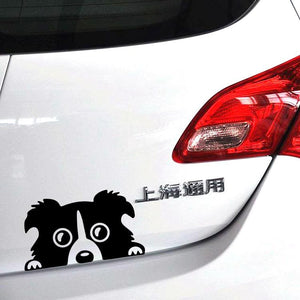 Cool Border Collie sticker for the back window of your car