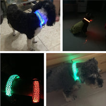 Adjustable LED Collar so that you can walk in the dark