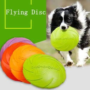 Flying Disc and Chew Toy All In One