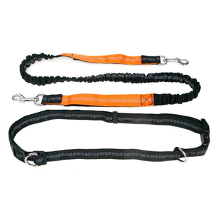 Retractable Hands Free Dog Leash For Running
