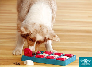 Brain Toy To Exercise Your Dog's Mind