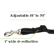 Leash For Walking Two Dogs at Once