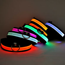 USB Rechargeable LED Dog and Cat Collar