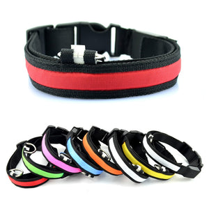 USB Rechargeable LED Dog and Cat Collar