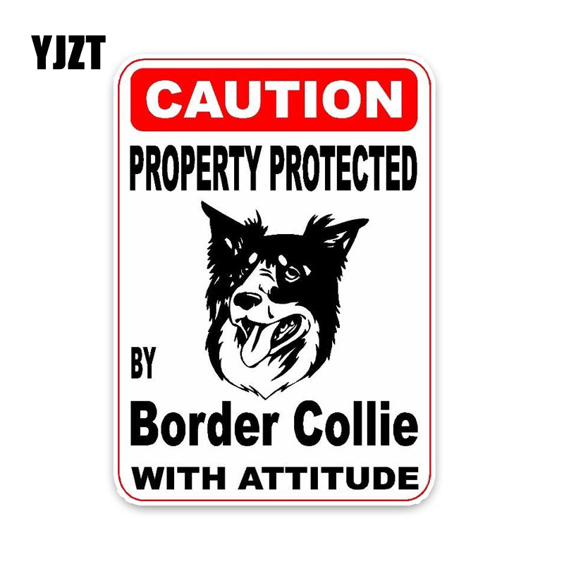 Border Collie with Attitude Sticker or Car Decal